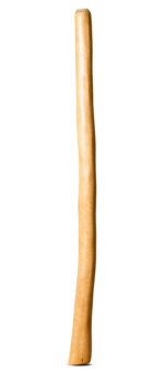 Medium Size Natural Finish Didgeridoo (TW1624)